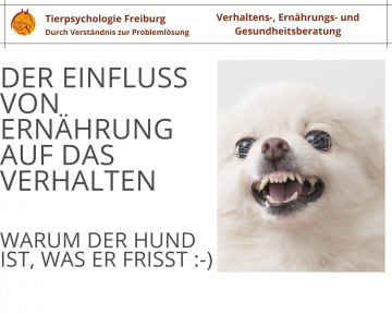 Einfluss Ernährung