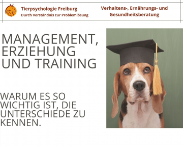 Management