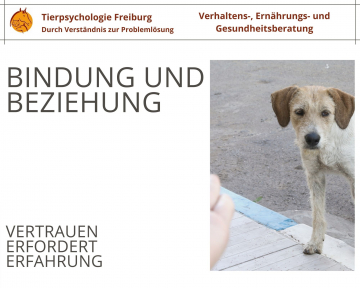 Bindung und Beziehung(1)
