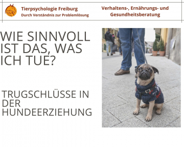 Wie sinnvoll ist