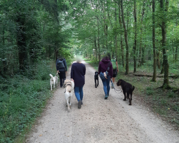 Alltagsspaziergang dynamisch 1