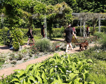 Themengruppe Hundebegegnungen Leine