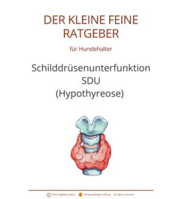 Webseite Ratgeber (300 x 328 px)