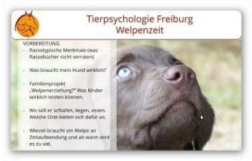 Vortrag Welpenbesitzer