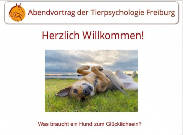 Hund Glücklichsein