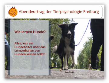 Vortrag Wie lernen Hunde
