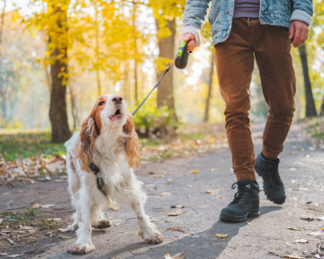 FlexKurs Frustrationstoleranz