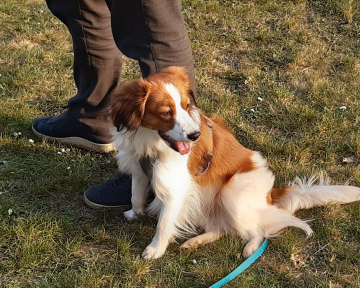 Kommunikationsgruppe 2022