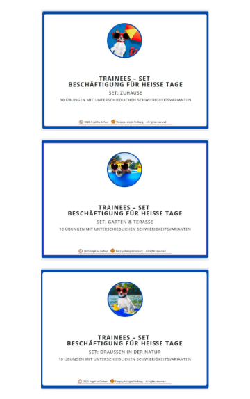 Bundle Sommer-Trainee-Set 01