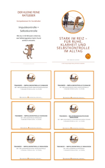Bild Komplettbundle Impulskontrolle