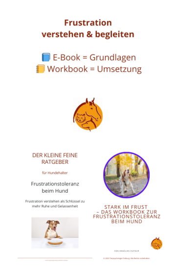 E-Book + Workbook Frustrationstoleranz
