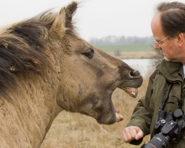 Erstgespräch Pferd 1