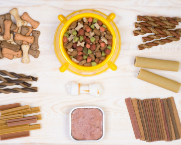 Ernährungsberatung für Hunde